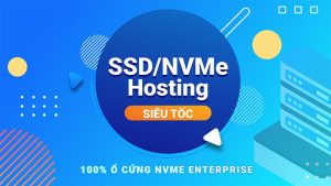 Failover Hosting (Business: 5GB/5 Add-on/Backup daily/SSL) - Tháng