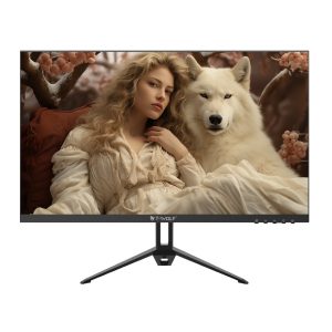 Màn hình T-Wolf 27 inch TW-F27IFHD165 GAMING (IPS-DP, HDMI, 1920×1080, 165Hz) - Cái