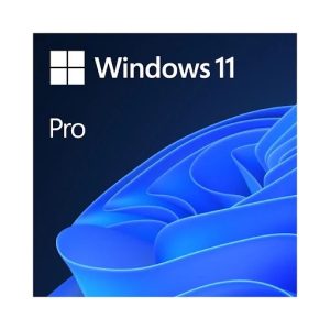 Phần mềm Windows Pro 11 64Bit Eng Intl 1pk DSP OEI DVD (FQC-10528) - Box Phần mềm Windows Pro 11 64Bit Eng Intl 1pk DSP OEI DVD (FQC-10528) - Box